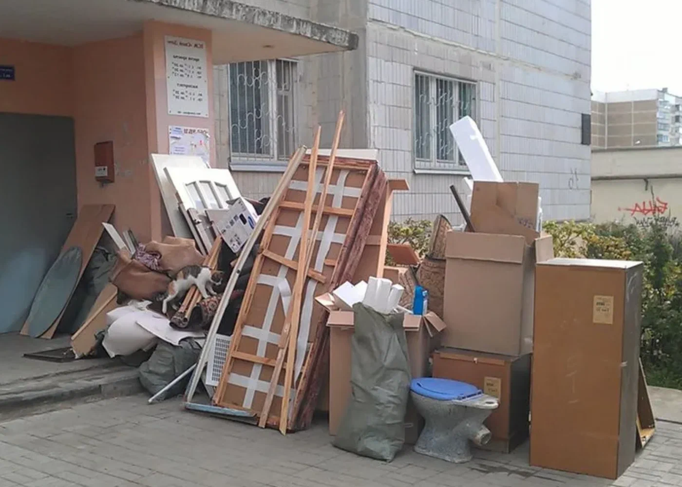 Профессиональный вывоз мусора из квартиры в Кузнецке в октябре
