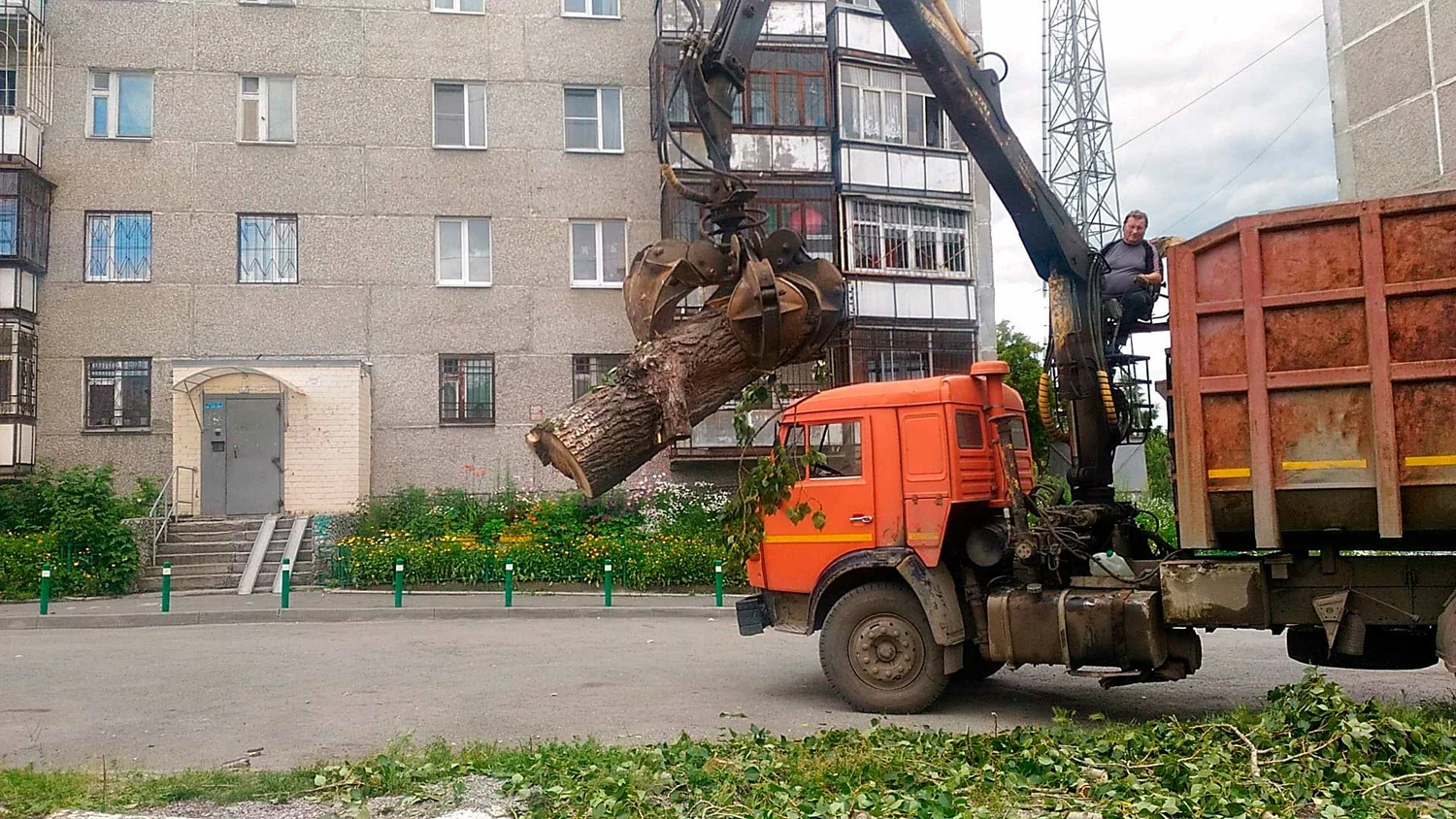 Вывоз спиленных веток и деревьев в Кузнецке от ПроМусор: порубочные остатки, утилизация, цена от 3023 руб