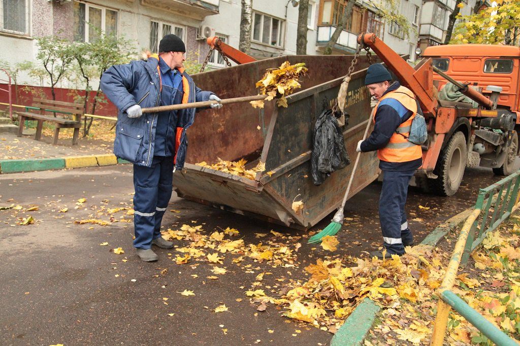 Вывоз опавшей листвы и растительного мусора в Кузнецке от ПроМусор – цена от 4691 руб., быстрая уборка и утилизация